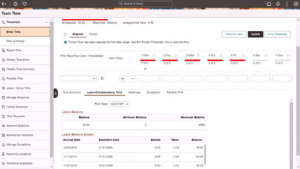 Leave-or-Compensatory-Time-tab-showing-details-for-Chosen-date