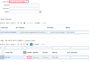 Lookup-Type-ANC_TM_NEW_INTG_ENABLE- Time-and-Labor-and-Absence-Management-Integration 