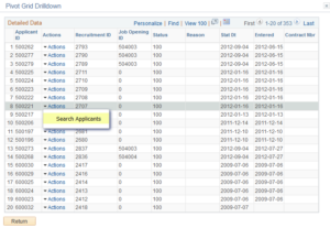 peoplesoft-pivot-grid-4