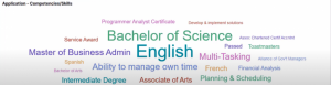 Application –Competencies or Skills TKibana Visualizations Tag Cloud